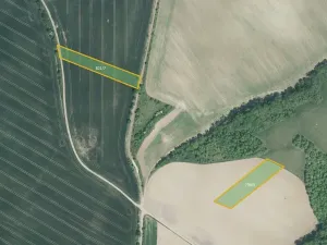 Prodej pole, Hoštice, 17754 m2