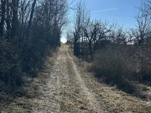 Prodej zahrady, Hustopeče, 4050 m2