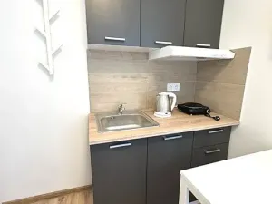 Pronájem bytu 1+kk, Kladno, Hřebečská, 16 m2