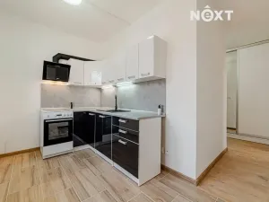 Pronájem bytu 3+1, Karviná, Borovského, 54 m2