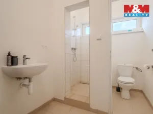 Pronájem obchodního prostoru, Ostrava - Proskovice, Staroveská, 246 m2