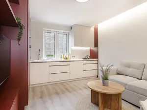 Pronájem bytu 2+kk, Ostrava, Čujkovova, 29 m2