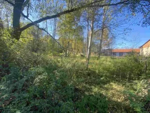 Dražba louky, Raspenava, 376 m2