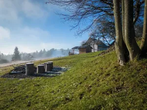 Prodej rodinného domu, Branná, 150 m2