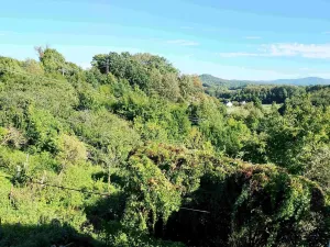 Prodej rodinného domu, Žulová, 350 m2