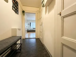 Prodej bytu 1+kk, Praha - Žižkov, Jičínská, 38 m2