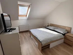 Prodej rodinného domu, Všeradice, 4020 m2