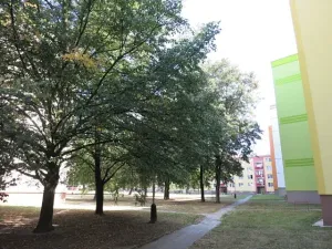 Pronájem bytu 1+1, Přerov, 40 m2