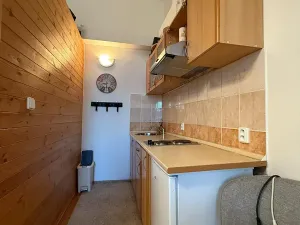 Prodej bytu 1+kk, Mariánské Lázně, Chebská, 35 m2