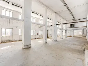 Prodej výrobních prostor, Heřmanův Městec, Tylova, 1970 m2