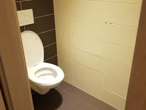 Pronájem obchodního prostoru, České Budějovice - České Budějovice 3, Pražská tř., 60 m2