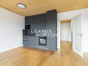 Pronájem bytu 1+kk, Praha - Stodůlky, Ujgurská, 41 m2