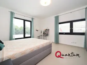 Pronájem rodinného domu, Šestajovice, Konopišťská, 250 m2