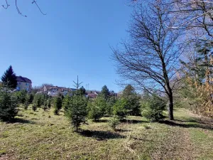 Prodej komerčního pozemku, Popůvky, 971 m2