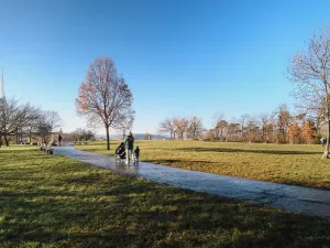 Prodej bytu 3+kk, Praha - Žižkov, Jana Želivského, 77 m2