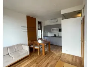 Pronájem bytu 2+kk, Praha - Nusle, Lumírova, 51 m2