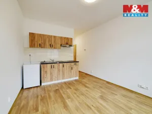 Pronájem bytu 1+kk, Mariánské Lázně, Hlavní třída, 20 m2