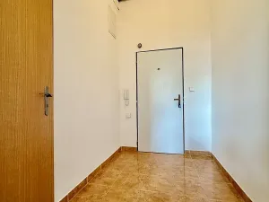 Pronájem bytu 1+kk, Plzeň, Dvořákova, 35 m2