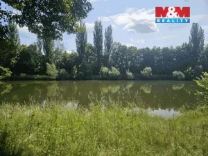 Prodej louky, Hradec Králové - Pražské Předměstí, 7544 m2