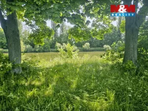 Prodej louky, Hradec Králové - Pražské Předměstí, 1000 m2