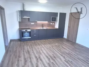 Pronájem bytu 2+kk, České Budějovice, Novohradská, 50 m2