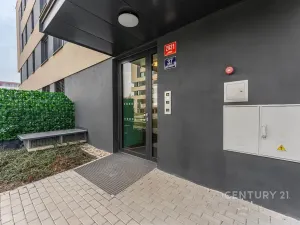 Pronájem bytu 1+kk, Praha - Žižkov, Olgy Havlové, 32 m2