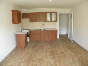 Pronájem bytu 2+kk, Brno, Hostinského, 54 m2