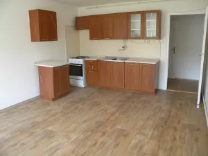 Pronájem bytu 2+kk, Brno, Hostinského, 54 m2