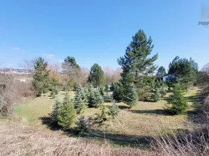 Prodej pozemku pro bydlení, Popůvky, 971 m2