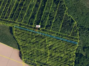 Dražba lesa, Hradčany-Kobeřice, 1895 m2