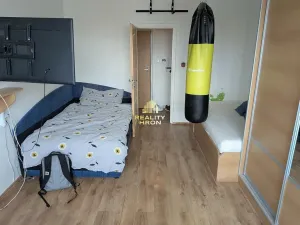 Prodej bytu 3+1, Žatec, U Jezu, 78 m2