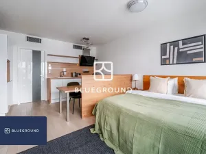 Pronájem bytu 1+kk, Praha - Žižkov, Olšanská, 35 m2