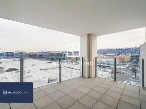 Pronájem bytu 2+kk, Praha - Karlín, Breitfeldova, 62 m2