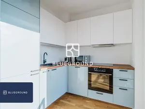 Pronájem bytu 1+kk, Praha - Žižkov, Olgy Havlové, 40 m2