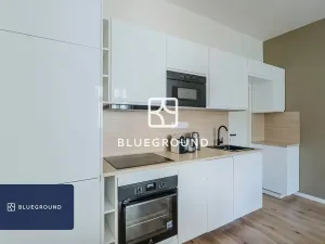 Pronájem bytu 2+kk, Praha - Vinohrady, Písecká, 47 m2