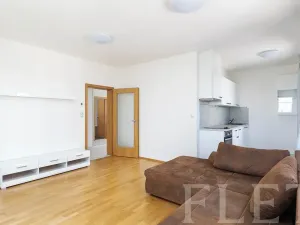 Pronájem bytu 2+kk, Praha - Žižkov, Olšanská, 56 m2