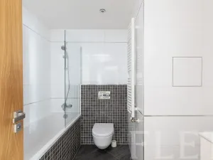 Pronájem bytu 2+kk, Praha - Žižkov, Olšanská, 56 m2