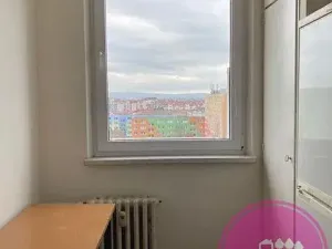 Pronájem bytu 1+1, Olomouc, Zikova, 30 m2