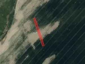 Prodej pole, Ratíškovice, 11736 m2