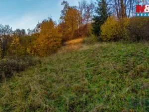 Prodej louky, Bílá - Hradčany, 6046 m2