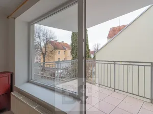 Pronájem bytu 1+1, České Budějovice, 51 m2