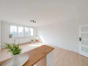 Pronájem bytu 1+kk, Český Těšín, Čáslavská, 32 m2