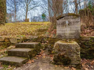 Prodej chaty, Plešnice, 36 m2