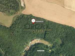 Prodej lesa, Malé Žernoseky, 7464 m2