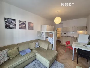 Pronájem bytu 1+kk, Praha - Žižkov, Žerotínova, 27 m2