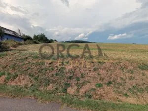 Prodej komerčního pozemku, Medlovice, 6912 m2