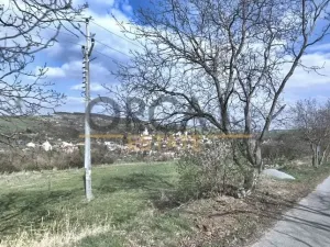 Prodej pole, Osvětimany, 2416 m2