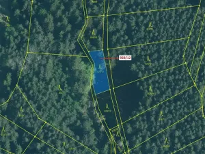 Dražba lesa, Hosty, 418 m2