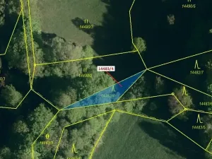 Dražba lesa, Hovězí, 173 m2