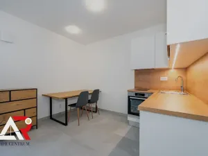 Pronájem bytu 1+kk, Brno, Bratislavská, 28 m2